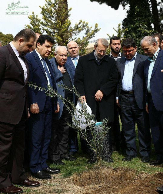 Ø¹Ú©Ø³/ Ø¯Ø±Ø®ØªÚ©Ø§Ø±Û ÙØ§Ø±ÛØ¬Ø§ÙÛ Ø¯Ø± ÙØ­ÙØ·Ù Ù¾Ø§Ø±ÙÙØ§Ù