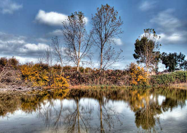 طبیعت بکر میانکاله مقصد مسافران نوروزی + تصاویر