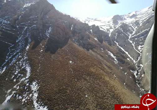 امدادرسانی به کوهنورد لهستانی در ارتفاعات سیالان تنکابن +تصاویر