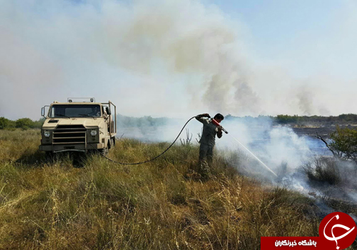 مهار دو آتش سوزی در منطقه میانکاله + تصاویر