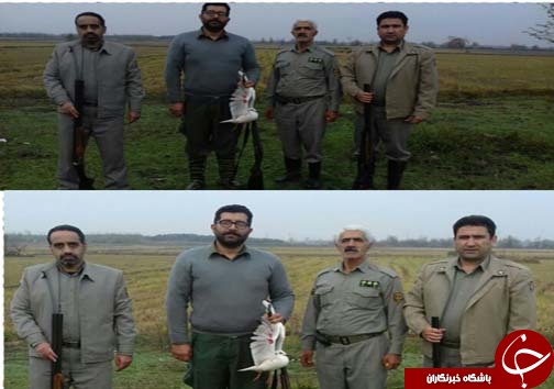دستگیری شکارچیان غیرمجاز در ۳ شهر مازندران + تصاویر دستگیری شکارچیان غیرمجاز در ۳ شهر مازندران + تصاویر