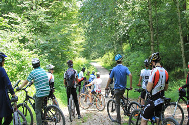 حمله به گردشگران دوچرخه سوار در جنگل‌هاي شمال كشور
