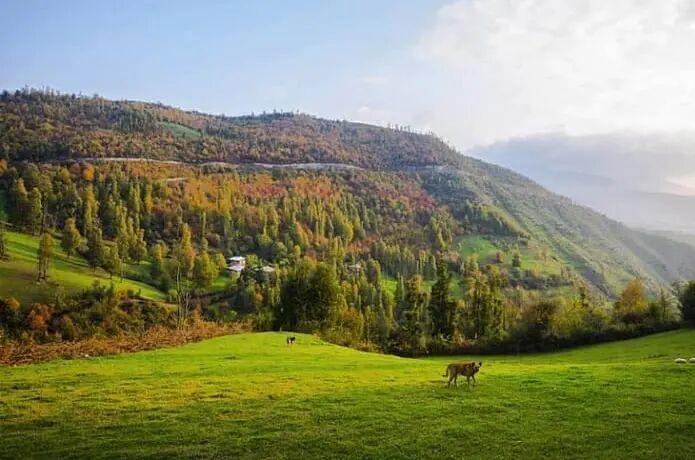 افزایش دما در گیلان تا سه شنبه