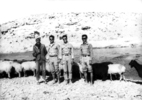 از چپ (نفر دوم سرلشکر خلبان شهید احمد کشوری)