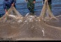  هر ساله از بیستم مهر تا سی ام فروردین سال بعد تورهای ماهیگیری در طول 338کیلومتری سواحل دریای خزر در استان مازندران پهن می شود و کفال ،سفید و کپور مهمترین ماهیان استخوانی این منطقه هستند.