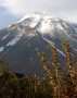 استاندار مازندران در حالی با گلایه از درج خبر آسفالت قله دماوند توسط رسانه‌ها سخن می گوید که آسفالت قله دماوند به گفته کارشناسان هیچ اساس کارشناسی ندارد و در عین حال عملیات زیرسازی و تعریض مسیر صعب العبور در طول هفت کیلومتر ادامه دارد...