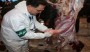 شمال نیوز : مدیرکل دامپزشکی مازندران ادامه داد: پزشکان در صورت مشاهده علائم بیماری تب کریمه کنگو باید حساسیت به خرج دهند تا در صورت مثبت بودن نسبت به درمان اقدام کنند.....