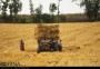 در آخرین روزهای فصل بهار و آغاز فصل تابستان و گرم شدن هوا کشاورزان مازنی شروع به برداشت گندم از سطح ۶۸ هزار هکتار از مزارع مازندران کرده اند.
 
 