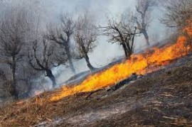 آتش سوزی در جنگل های مازندران / بالگرد اطفای حریق ضروری است