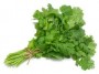 این سبزی حاوی ویتامین A، ویتامین C، ویتامین B۶، آهن، منیزیم، کلسیم، پتاسیم و فیبر است، همچنین سبزی گشنیز به‌عنوان دوای معده و بهبوددهنده عمل گوارش و هضم غذا شناخته می‌شود و این تاثیر به‌حدی است که آن را گیاه ضددیابت نیز می‌نامند.