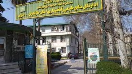  مدیرکل منابع طبیعی مازندران : در حال جانمایی برای بالگرد هستیم !!