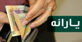 چرا برخی افرادی که یارانه ۴۵ هزار تومانی دریافت می‌کردند، مشمول یارانه جدید نشدند؟