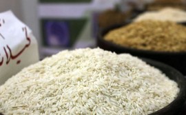 نماینده مجلس: گرانی نجومی قیمت برنج غیرقابل‌ دفاع است