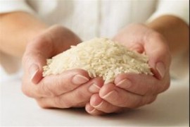 خطرات نگران کننده مصرف زیاد برنج 