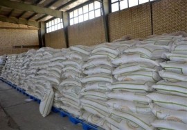 کاهش قیمت برنج ایرانی در مازندران