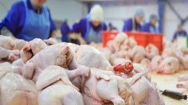 ۲۴ هزار تن گوشت مرغ در راه مازندران