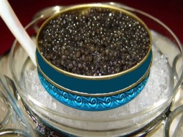 خاویار خزر در کام اروپایی ها لذیذ است/ سرانه مصرف ماهی در ایران تقریبا هیچ!