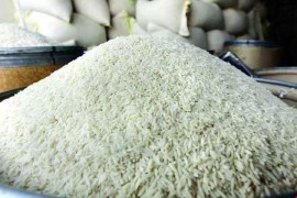 برنج بورس نشین شد و شالیکار خانه نشین/ شالی‌ها روی دست ماند