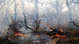 آتش سوزی در دو نقطه جنگلی مازندران