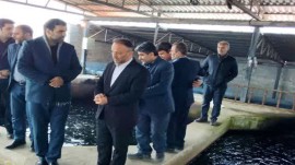 افتتاح پروژه پرورش ماهیان خاویاری در آمل
