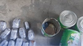کشف آناناس‌هایی با طعم تریاک