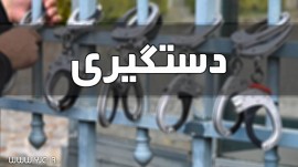 دستگیری عامل تیراندازی در محمودآباد/ انگیزه متهم خصومت شخصی بود 