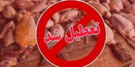 تعطیلی بازار غیرقانونی فروش پرندگان وحشی در فریدونکنار