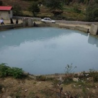 عامل ورود سگ به آبگرم درمانی آزرود بابل دستگیر شد+ ویدئو