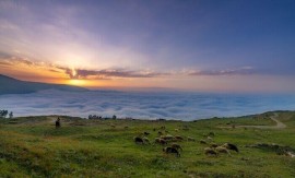 پایداری تدریجی هوای مازندران