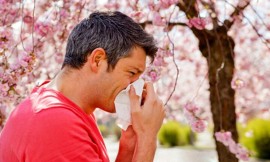 هشدار درباره اوج‌گیری آلرژی‌های تنفسی