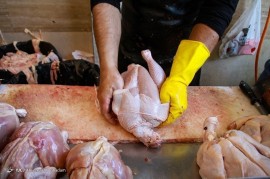 قیمت مصوب مرغ هفته آینده اعلام می‌شود