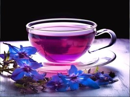 این دمنوش سرشار از ویتامین C است و کلیه‌ها را تقویت می‌کند