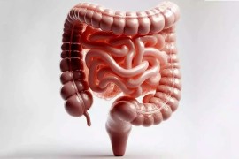 یک ترکیب ضدالتهابی قوی برای سلامت روده