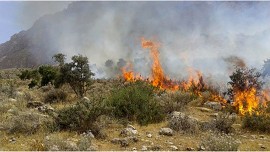  طبیعت پلور گرفتار آتش شد؛ چه کسی مقصر است؟!