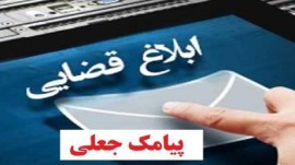 دستگیری اعضای یک باند سه نفره فیشینگ در غرب کشور
