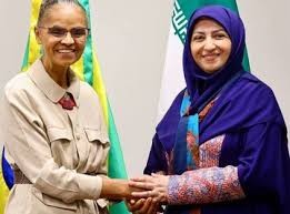 تناقض عجیب در هزینه سفر رئیس سازمان محیط‌زیست به برزیل/ واکنش شینا انصاری