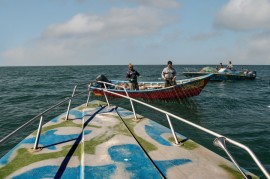 ۳۵۰ تن انواع ماهیان استخوانی از دریای مازندران صید شد