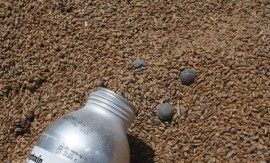 ممنوعیت عرضه قرص برنج