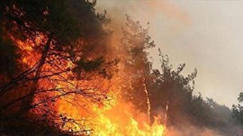 بازدید میدانی دادستان مرکز استان مازندران از محل آتش‌سوزی جنگل‌های الیت/ تحقیقات برای روشن شدن علت آتش‌سوزی ادامه دارد