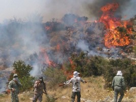 ردپای ‌‌انسان‌ ‌در آتش‌سوزی‌ جنگل‌ها محرز شد / شکارچیان غیرمجاز ‌الیت را آتش زدند‌