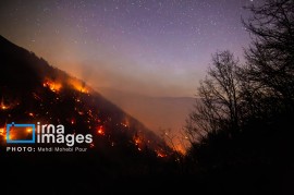 چگونه روایت‌های کلیشه‌ای رسانه‌ها بحران آتش‌سوزی الیت را تشدید کردند؟