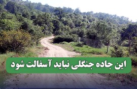 افزایش فشارها برای آسفالت جاده‌ای در «منطقه حفاظت شده آبشار » در سوادکوه / محیط زیست مازندران: در دست بررسی است !