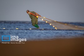 صید ماهی در دریای خزر متوقف شد