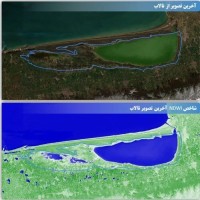 جدایی تلخ میانکاله از مادر