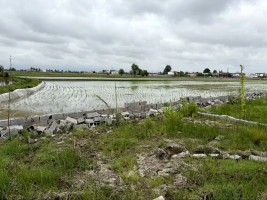 دیوارکشی و فنس‌کشی اراضی زراعی و باغی پس از اخذ مجوز، آزاد شد