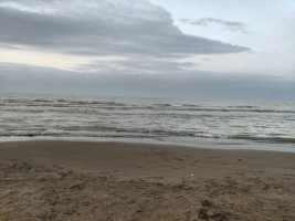 یونسی: دریای مازندران ۱۲۰۰ متر پسروی کرده است