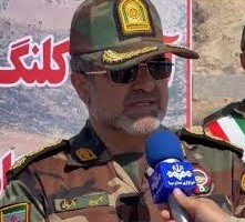 فرمانده یگان حفاظت سازمان منابع طبیعی کشور به شهادت رسید