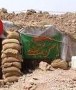 هوشنگ متقیان