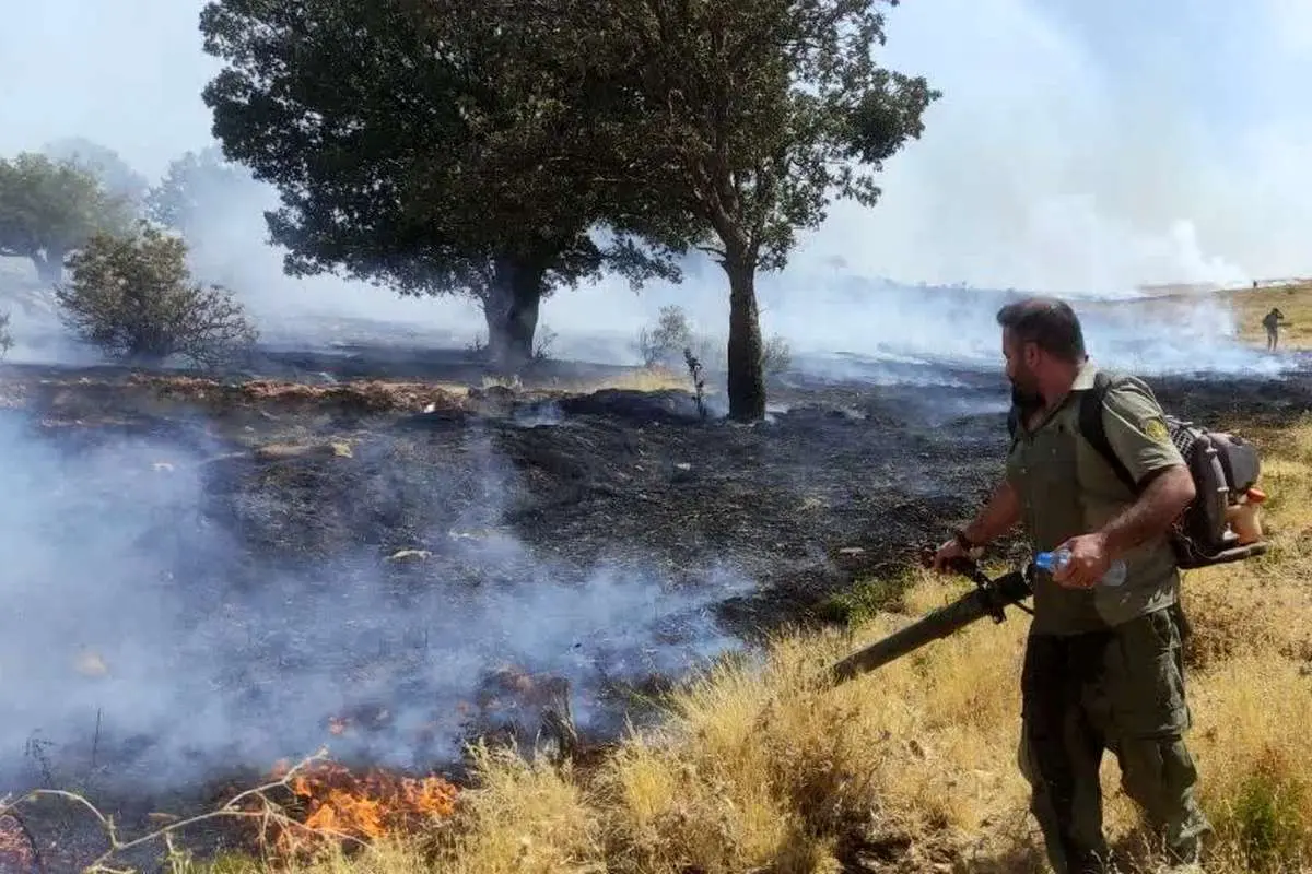 آتش سوزی مراتع جنگلی بخش گواور گیلانغرب 
