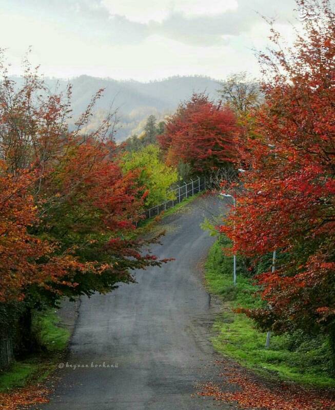 عکسهای شمال کشور عکس از شمال کشور ایران
